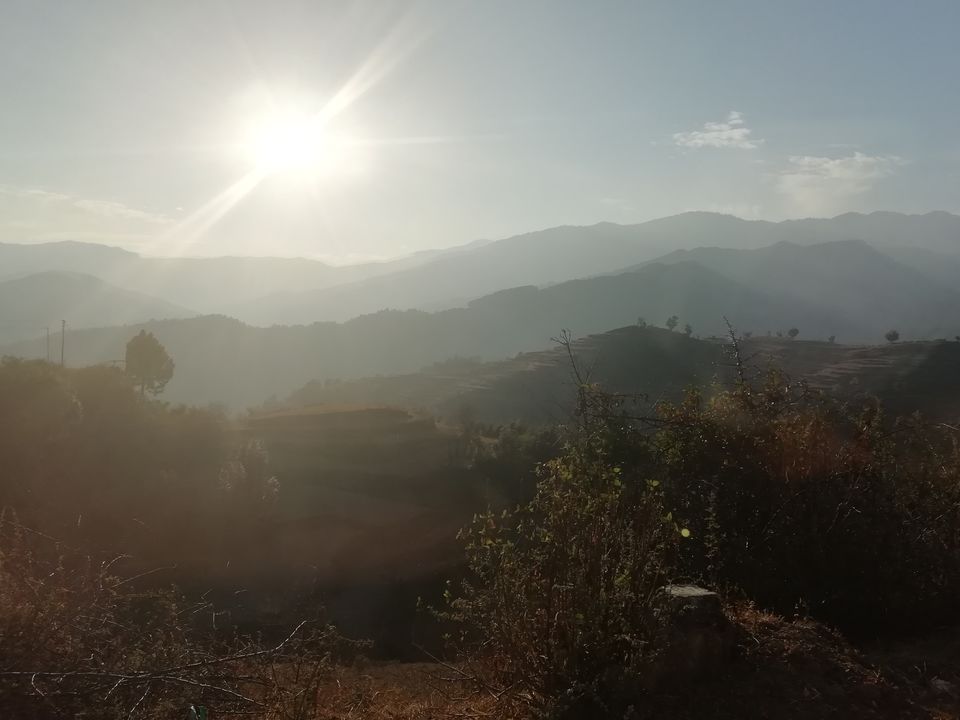 Photo of Chopta – Road to peaceful mountains... 10/31 by flying#wings