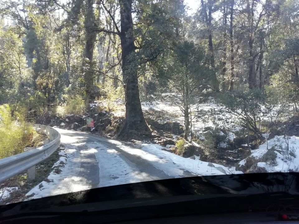 Photo of Chopta – Road to peaceful mountains... 20/31 by flying#wings