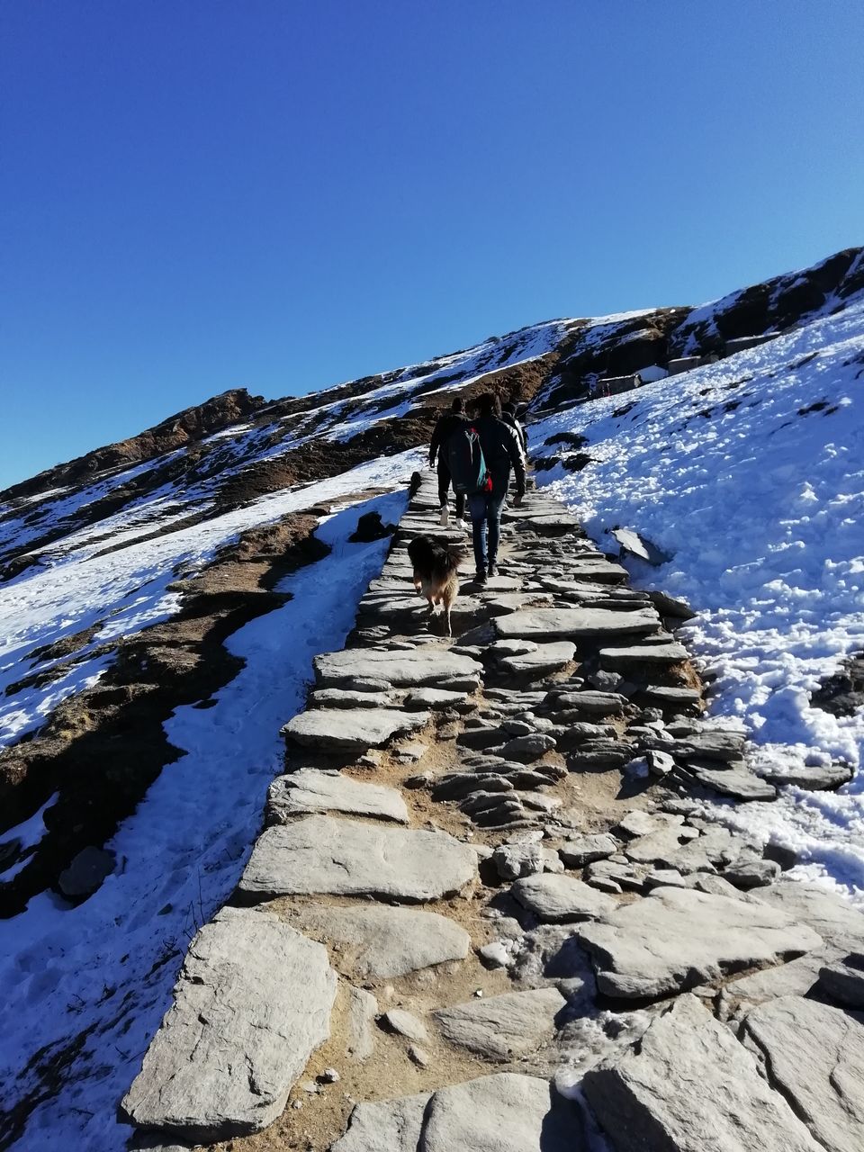 Photo of Chopta – Road to peaceful mountains... 25/31 by flying#wings