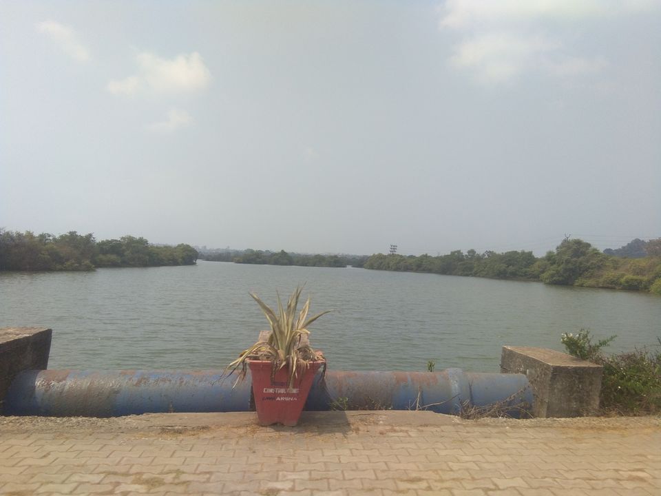 Photo of GOA: A crazy trip to a crazy destination.. by flying#wings