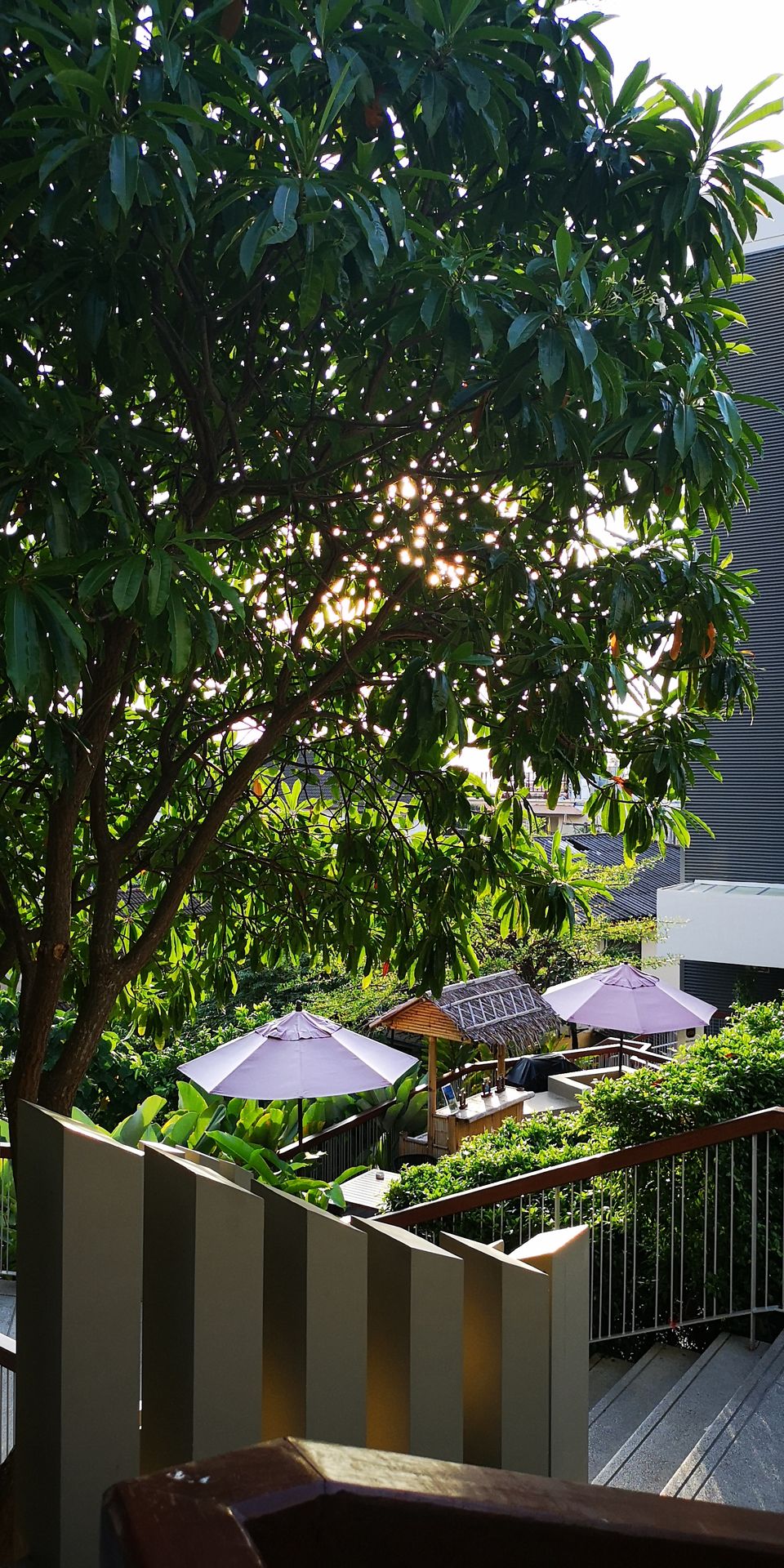 Photo of Hyatt Place Patong Beach Hotel, Phuket Thailand - Our Stay + Cool Balcony Timelapses! 13/16 by Fay Elmi