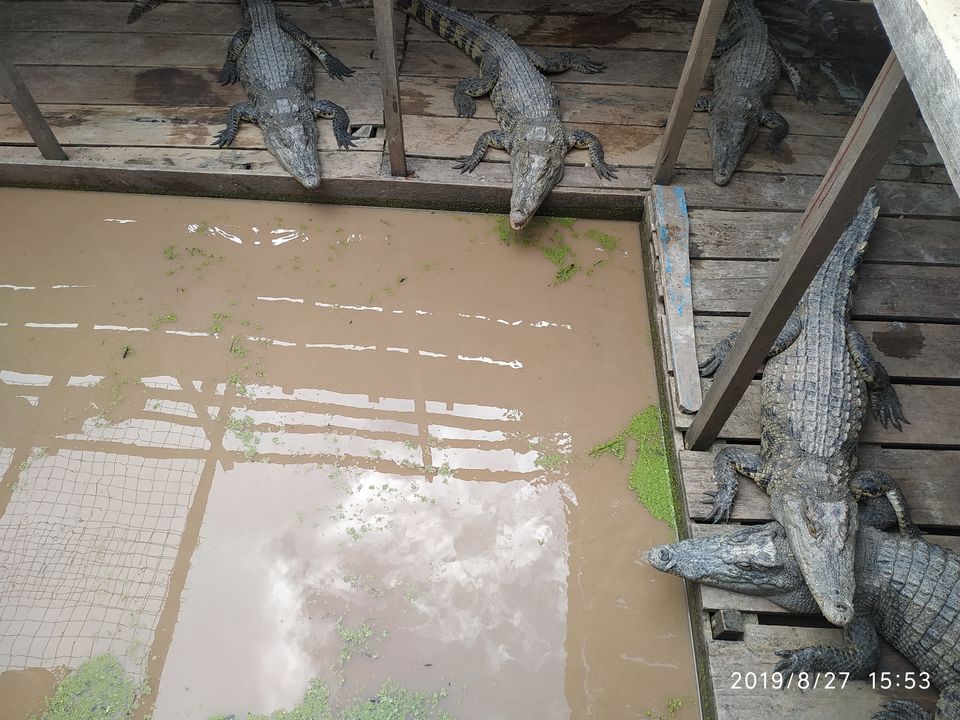 Photo of 10 दिवसीय थाईलैंड औऱ कंबोडिया यात्रा by बिहारी घुमक्कड़