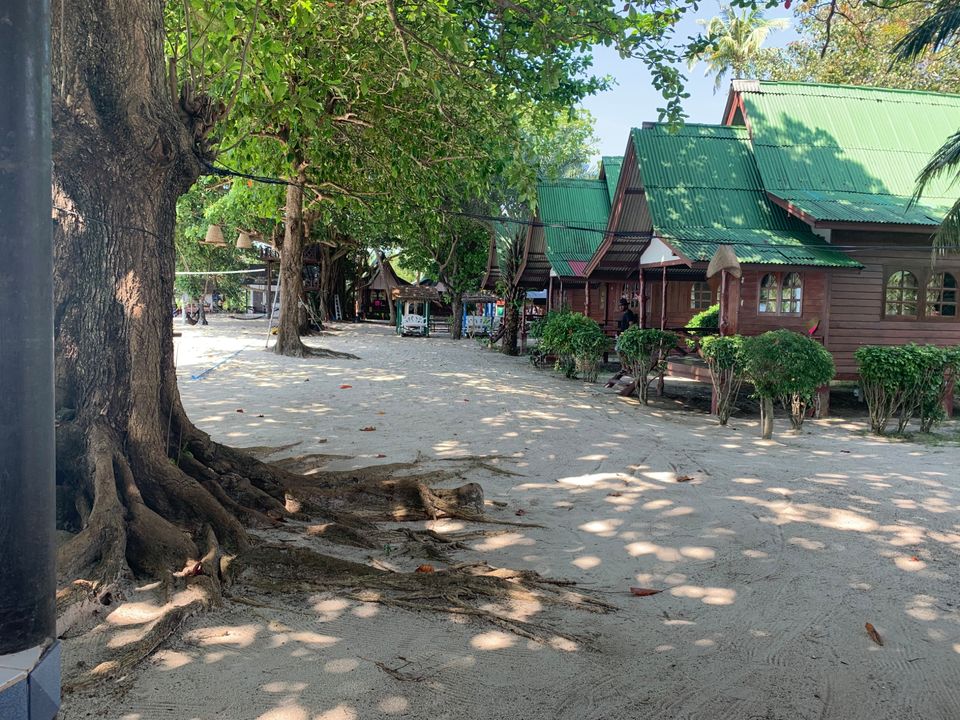 Photo of Thailand--- Party & Adventure freakin trip- New year week by The Journey