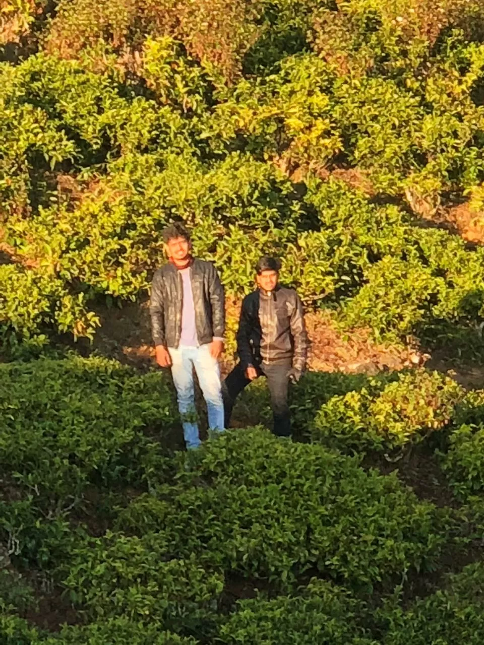 Photo of Ooty Fruity by Suyash Gupta