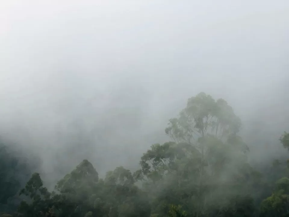 Photo of Ooty Fruity by Suyash Gupta