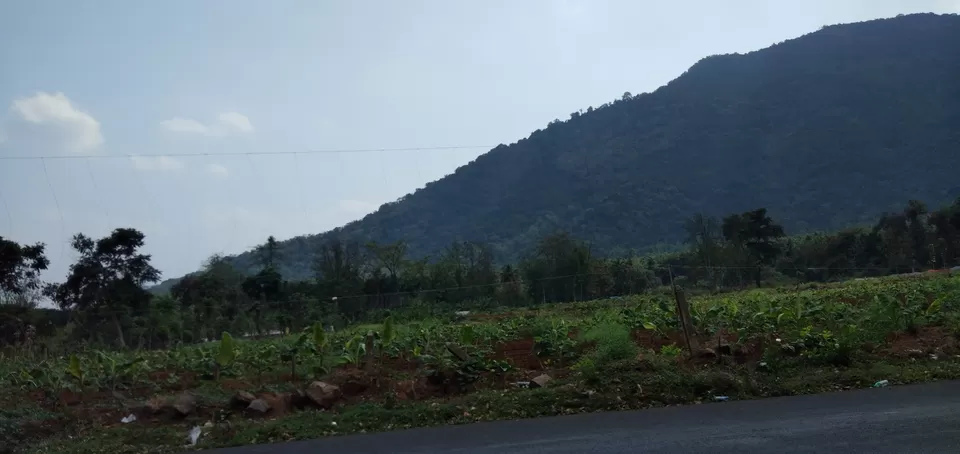 Photo of Ooty Fruity by Suyash Gupta