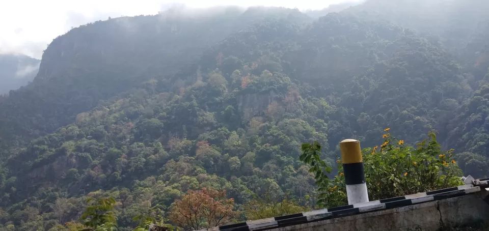 Photo of Ooty Fruity by Suyash Gupta