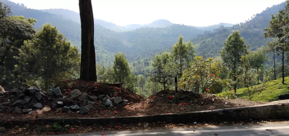Photo of Ooty Fruity by Suyash Gupta