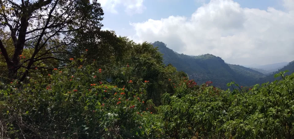 Photo of Ooty Fruity by Suyash Gupta