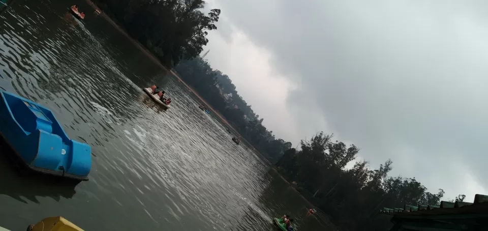 Photo of Ooty Fruity by Suyash Gupta