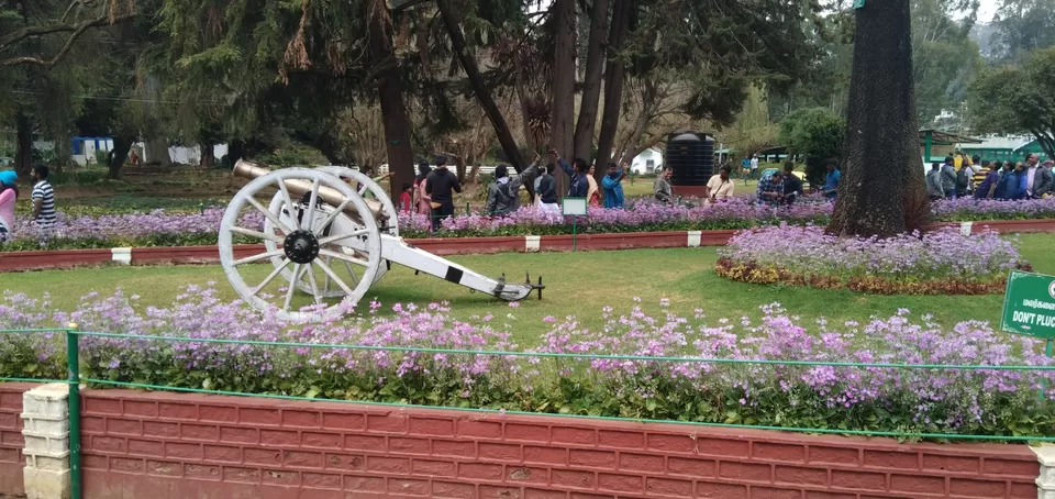 Photo of Ooty Fruity by Suyash Gupta