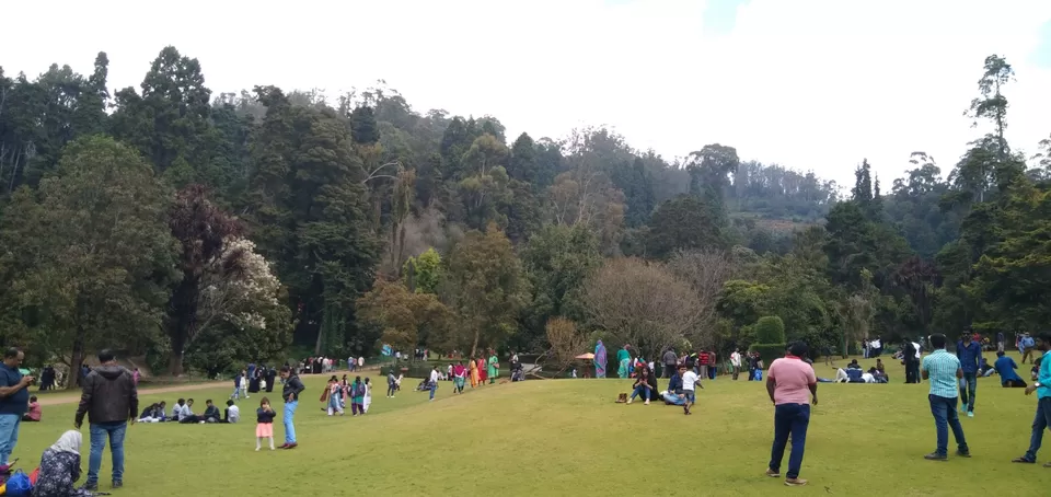 Photo of Ooty Fruity by Suyash Gupta