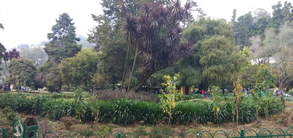 Photo of Ooty Fruity by Suyash Gupta