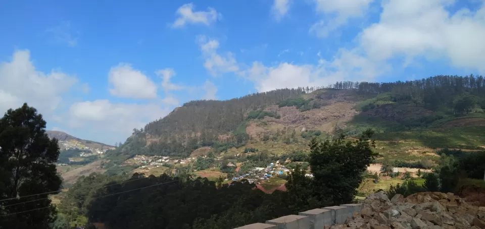 Photo of Ooty Fruity by Suyash Gupta