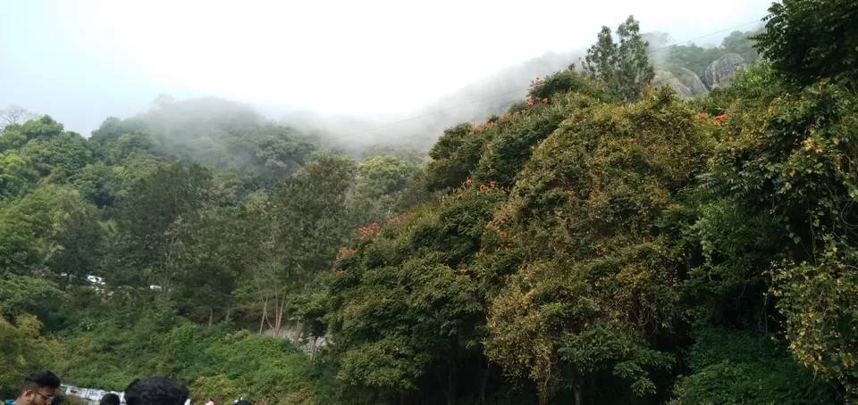 Photo of Ooty Fruity by Suyash Gupta
