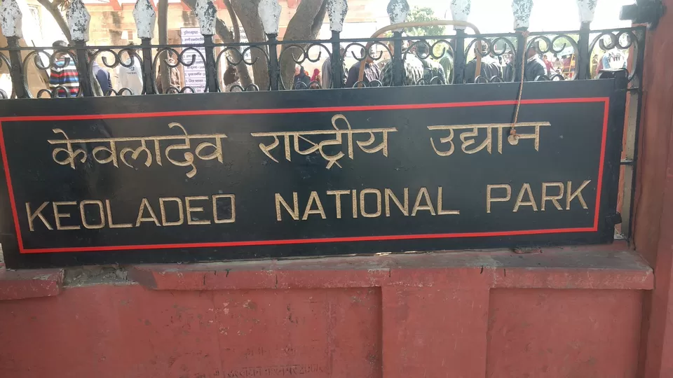 Photo of Keoladeo National Park, Bharatpur, Rajasthan, India by Traveling Chef