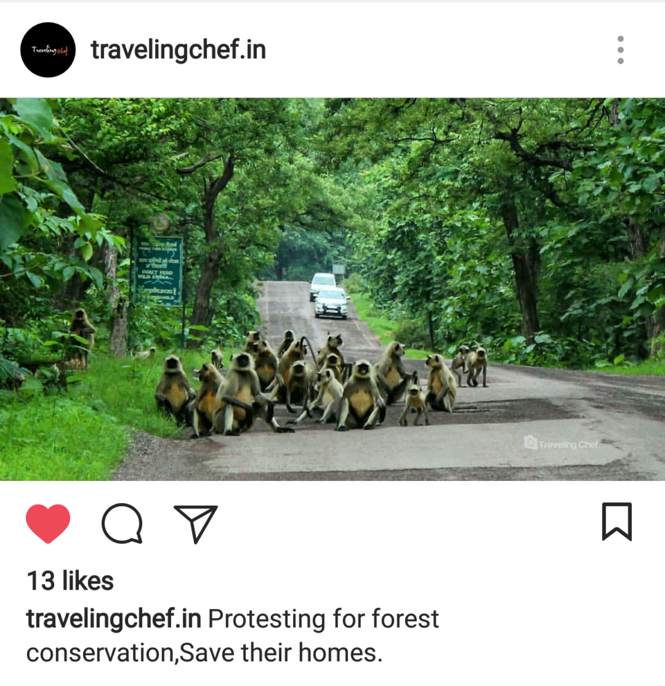 Photo of Panna Tiger Reserve Entry Gate, Panna, Madhya Pradesh, India by Traveling Chef