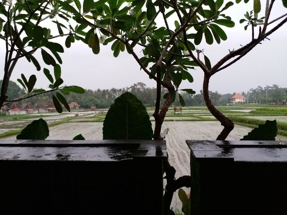 Photo of Villa Kayu Lama, Lodtunduh, Gianyar, Bali, Indonesia by Abhijeet Pandey