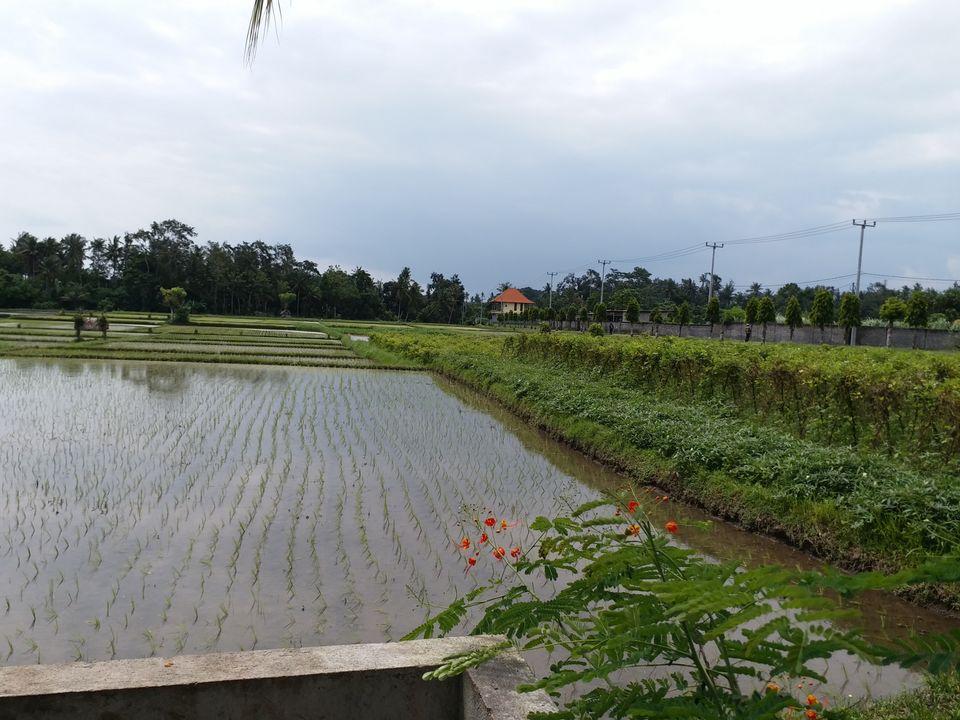 Photo of Villa Kayu Lama, Lodtunduh, Gianyar, Bali, Indonesia by Abhijeet Pandey