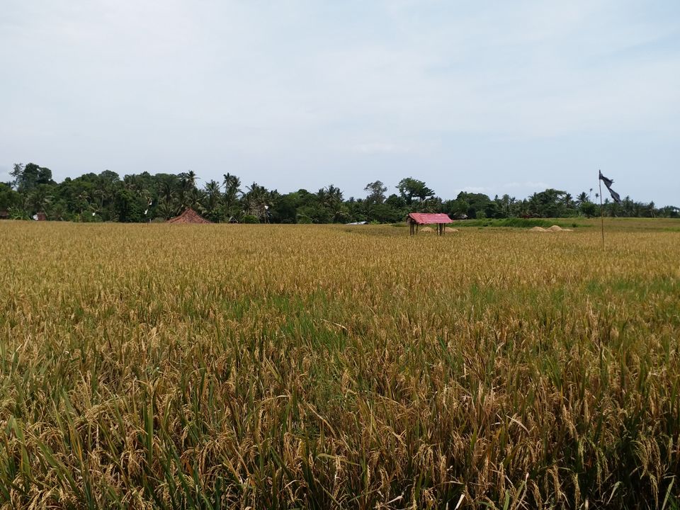 Photo of Villa Kayu Lama, Lodtunduh, Gianyar, Bali, Indonesia by Abhijeet Pandey