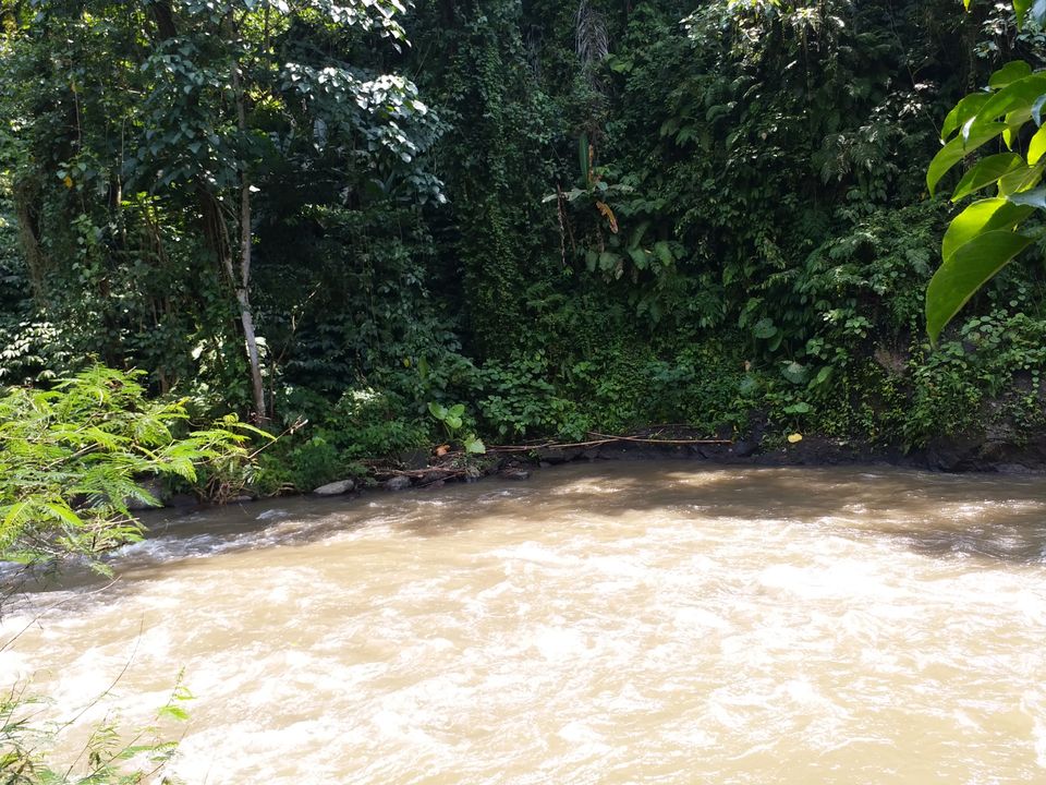 Photo of Ayung River Rafting Ubud Bali, Jalan Raya Ubud, Ubud, Gianyar, Bali, Indonesia by Abhijeet Pandey