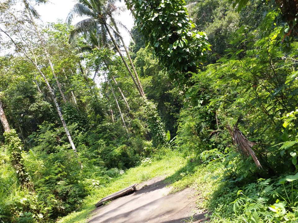 Photo of Ayung River Rafting Ubud Bali, Jalan Raya Ubud, Ubud, Gianyar, Bali, Indonesia by Abhijeet Pandey