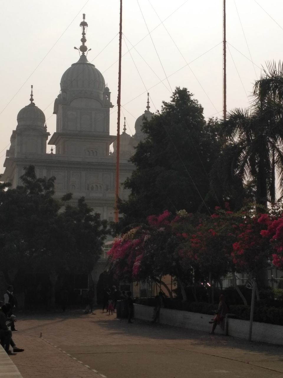 Photo of Trip on Wheels 8/14 by Reena Mukherjee