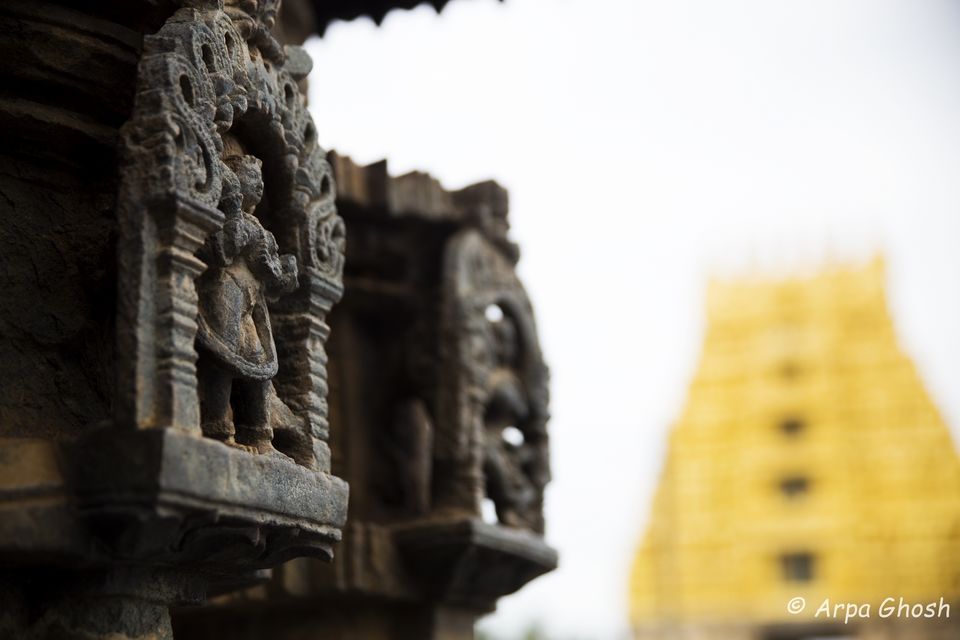 Photo of Belur- Halebeedu: Iconic historical landmark of Hoysala dynasty 18/46 by Madhumita Banerjee