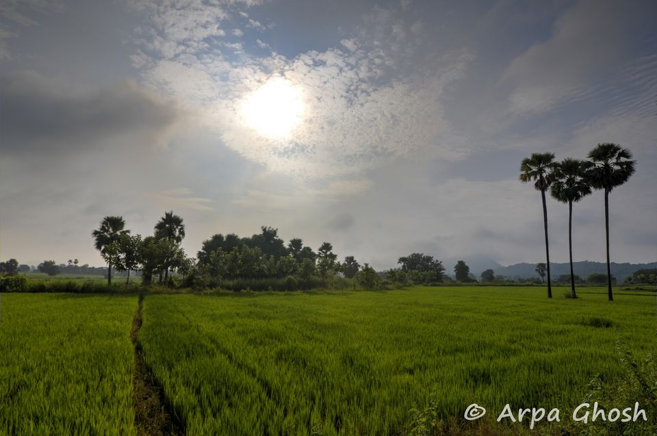 Photo of Warangal ~ the Land of the Kakatiyas 1/82 by Madhumita Banerjee