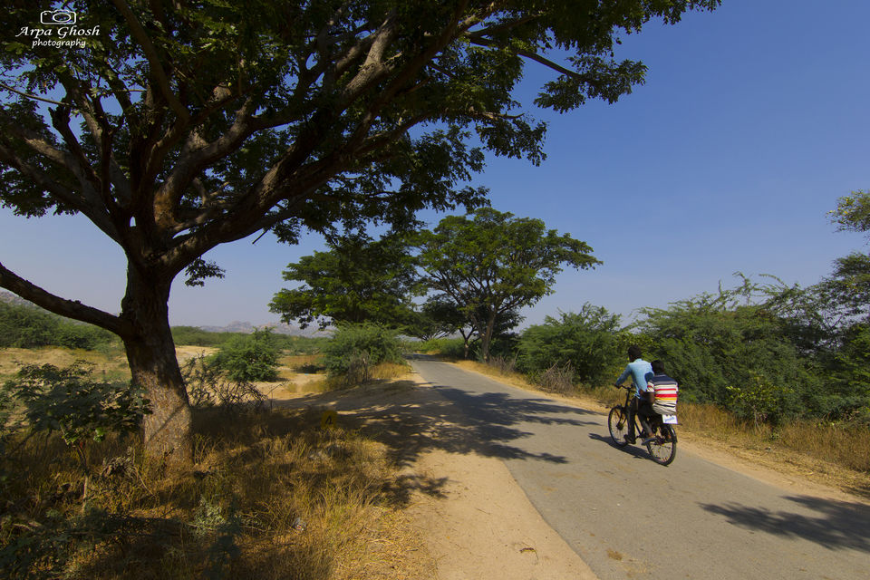 Photo of Koilsagar Project and Reservoir, Mahabubnagar, Telangana, India by Madhumita Banerjee