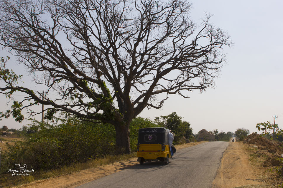 Photo of Koilsagar Project and Reservoir, Mahabubnagar, Telangana, India by Madhumita Banerjee