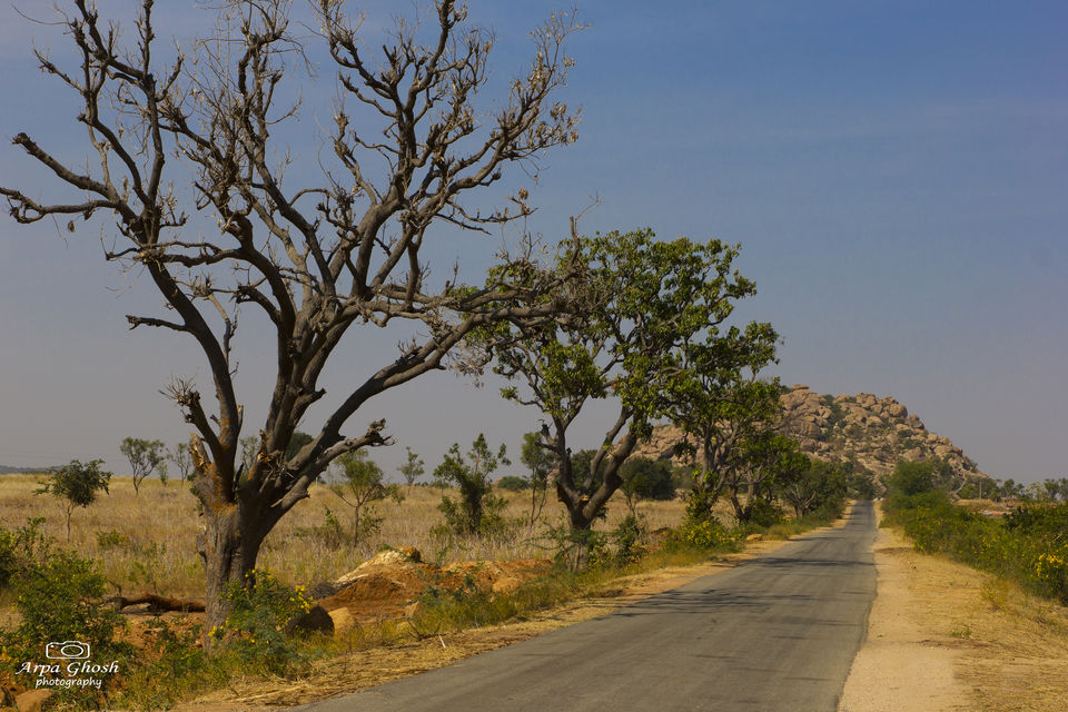 Photo of Koilsagar Project and Reservoir, Mahabubnagar, Telangana, India by Madhumita Banerjee