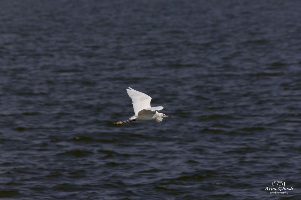 Photo of Trip to Koilsagar Dam & Koilkonda Fort by Madhumita Banerjee
