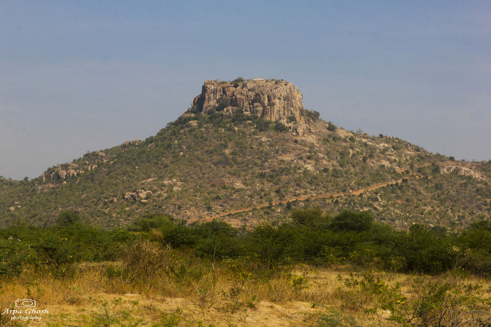 Photo of Trip to Koilsagar Dam & Koilkonda Fort by Madhumita Banerjee