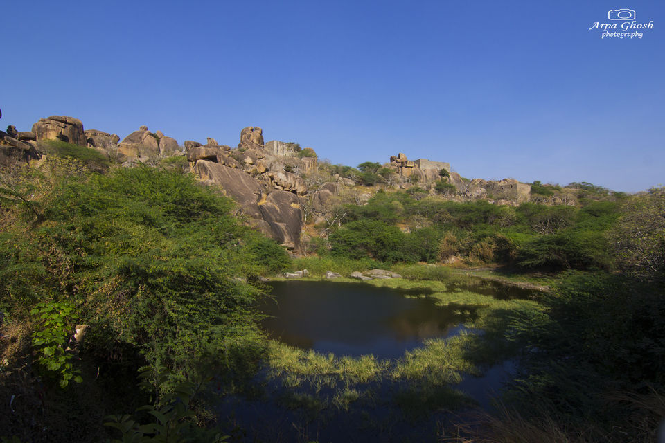 Photo of Trip to Koilsagar Dam & Koilkonda Fort by Madhumita Banerjee