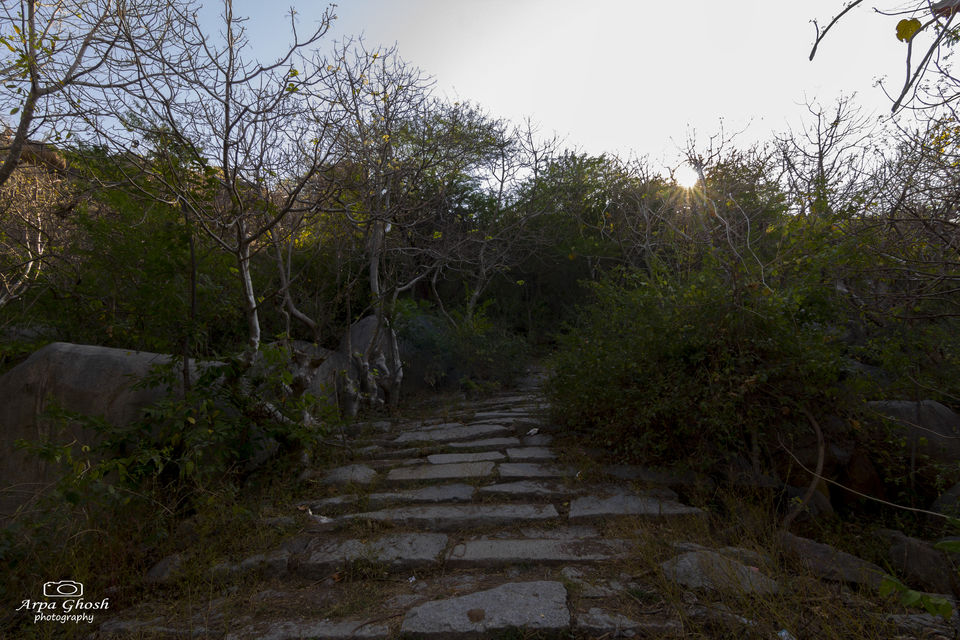 Photo of Trip to Koilsagar Dam & Koilkonda Fort by Madhumita Banerjee