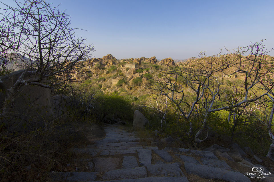 Photo of Trip to Koilsagar Dam & Koilkonda Fort by Madhumita Banerjee