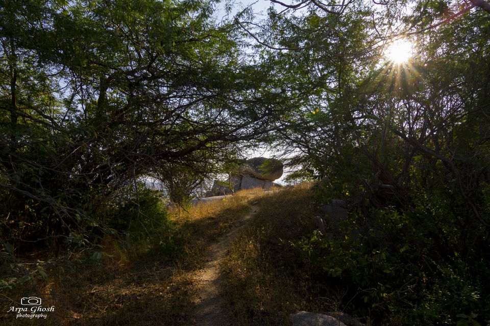 Photo of Trip to Koilsagar Dam & Koilkonda Fort by Madhumita Banerjee