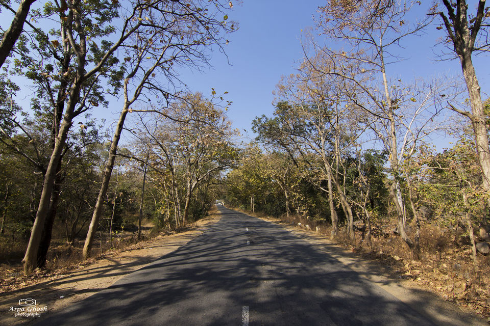 Photo of A Roadtrip to Adilabad by Madhumita Banerjee