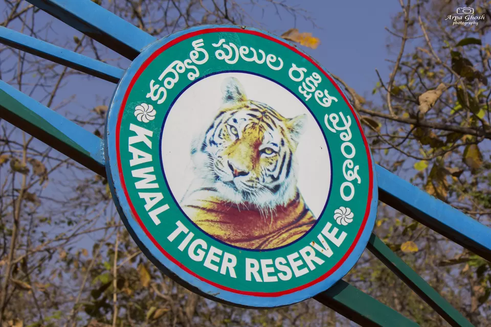 Photo of Kawal Wildlife Sanctuary Tiger Reserve, Jannaram, Telangana, India by Madhumita Banerjee