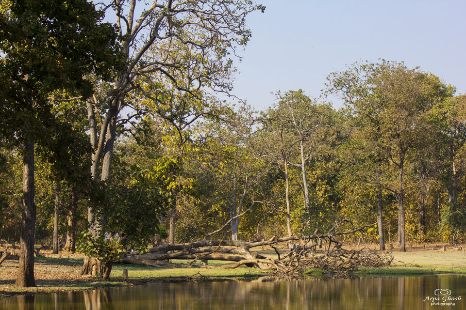 Photo of A Roadtrip to Adilabad by Madhumita Banerjee