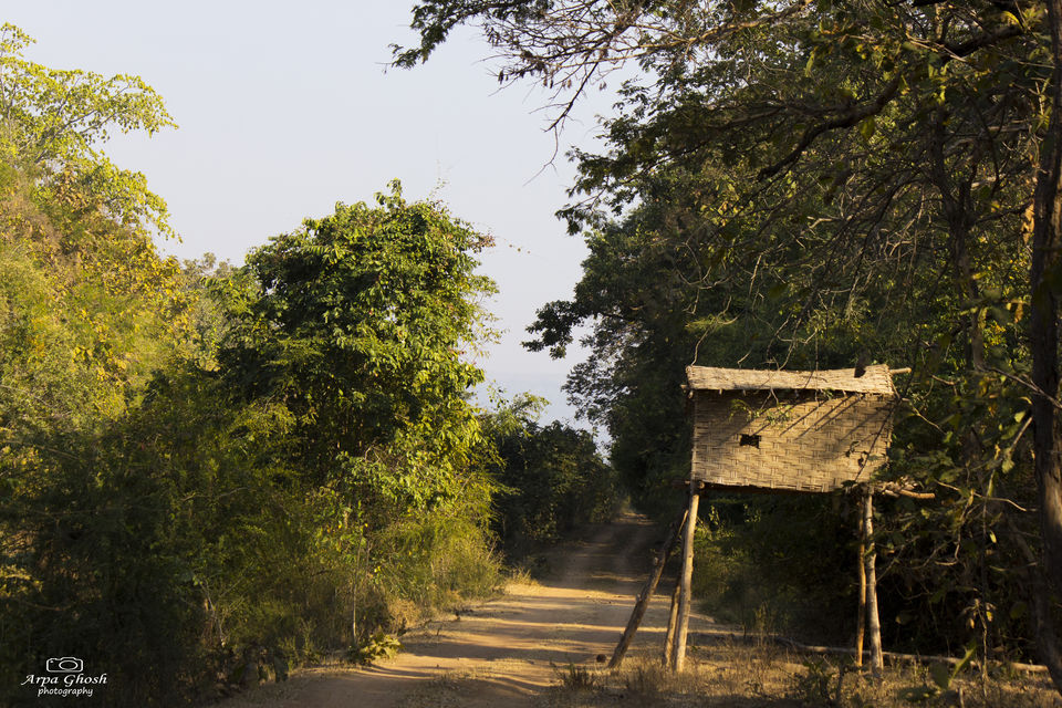 Photo of A Roadtrip to Adilabad by Madhumita Banerjee