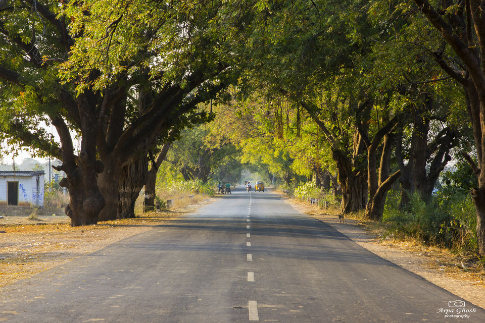 Photo of A Roadtrip to Adilabad by Madhumita Banerjee