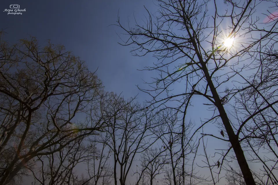 Photo of Kuntala Water Falls, Walking Path to Falls, Kuntala Khurd, Telangana, India by Madhumita Banerjee