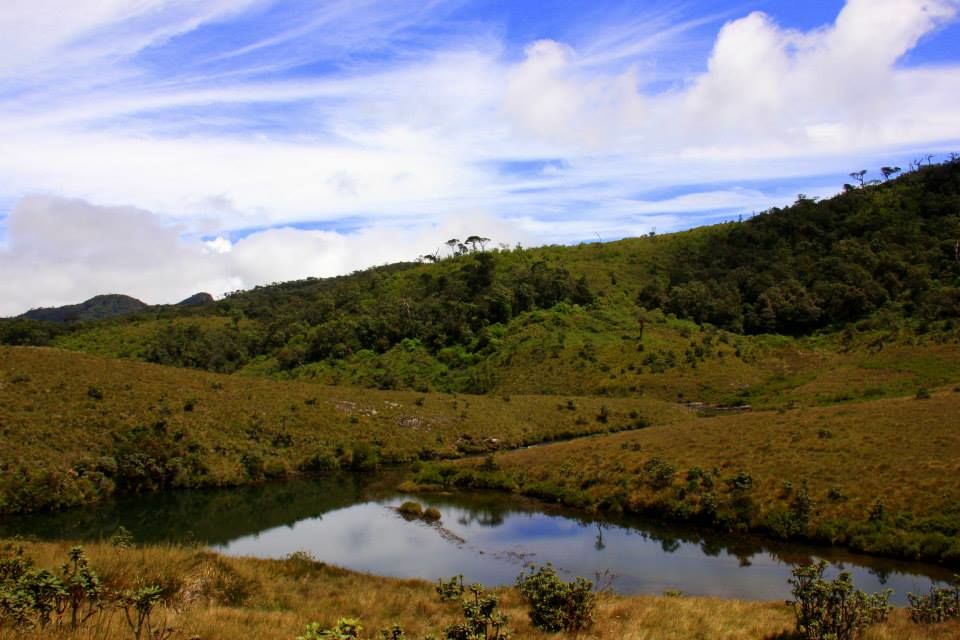 Photo of Horton Plains 7/13 by Srotoswini Svetlana Baghawan