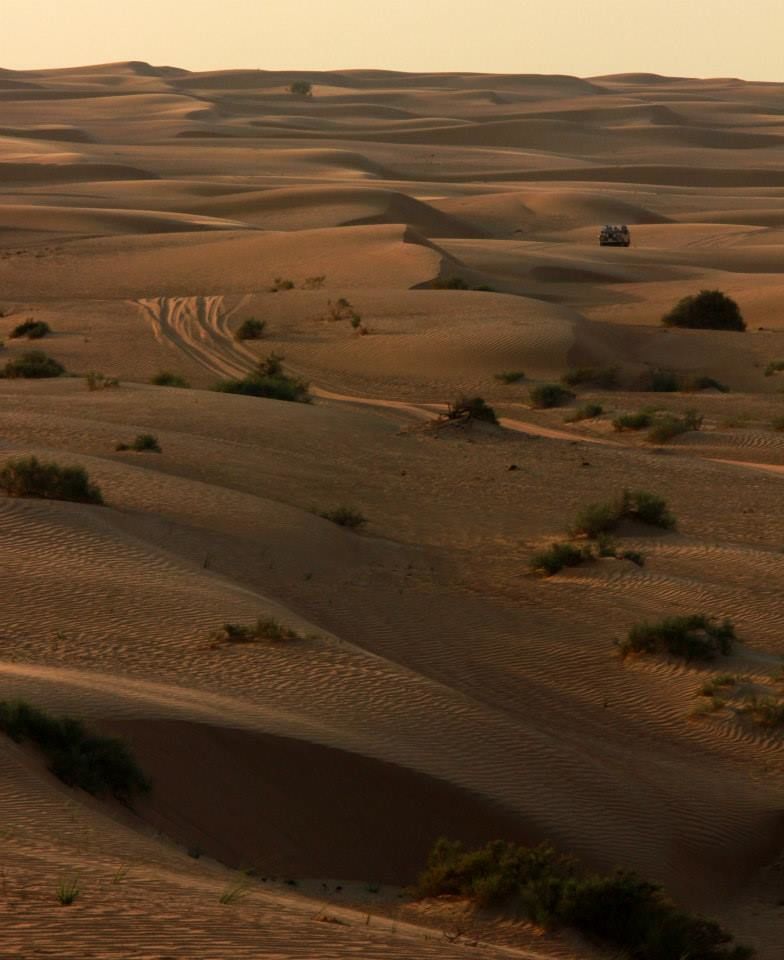 Photo of Wild Dubai 5/9 by Srotoswini Svetlana Baghawan