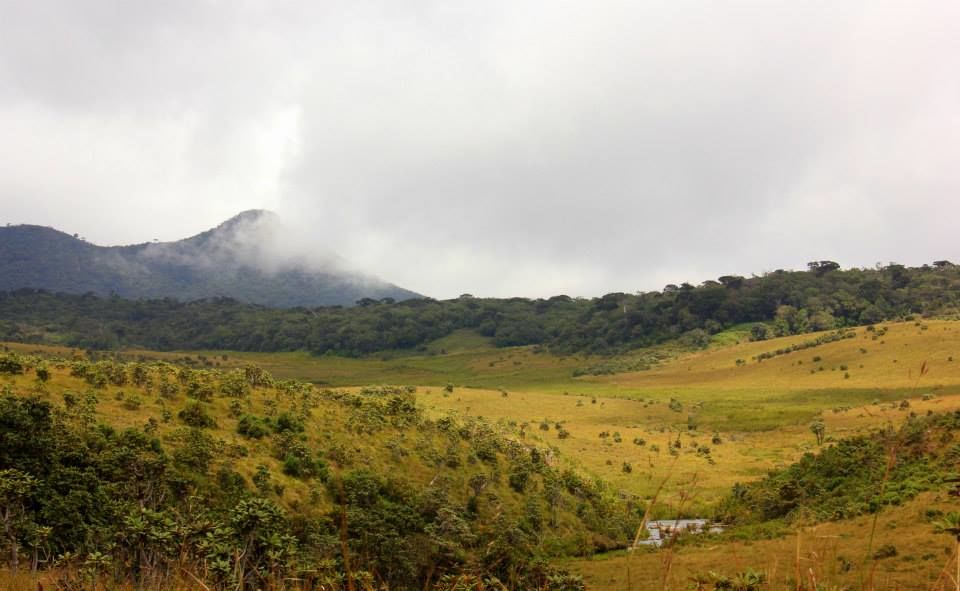 Photo of Horton Plains 11/13 by Srotoswini Svetlana Baghawan