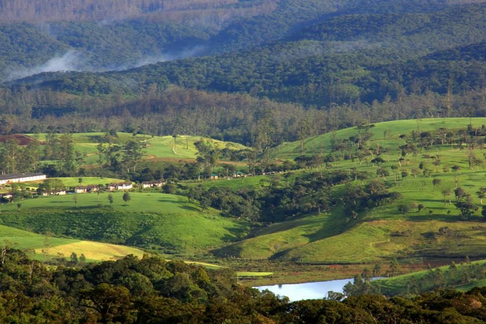 Photo of Horton Plains 3/13 by Srotoswini Svetlana Baghawan