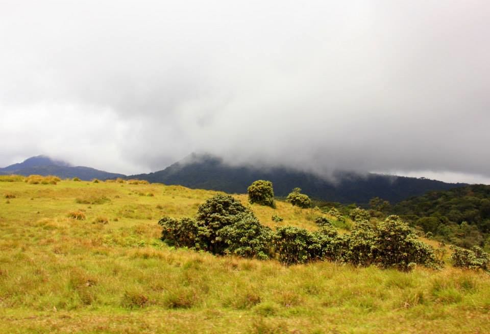 Photo of Horton Plains 5/13 by Srotoswini Svetlana Baghawan