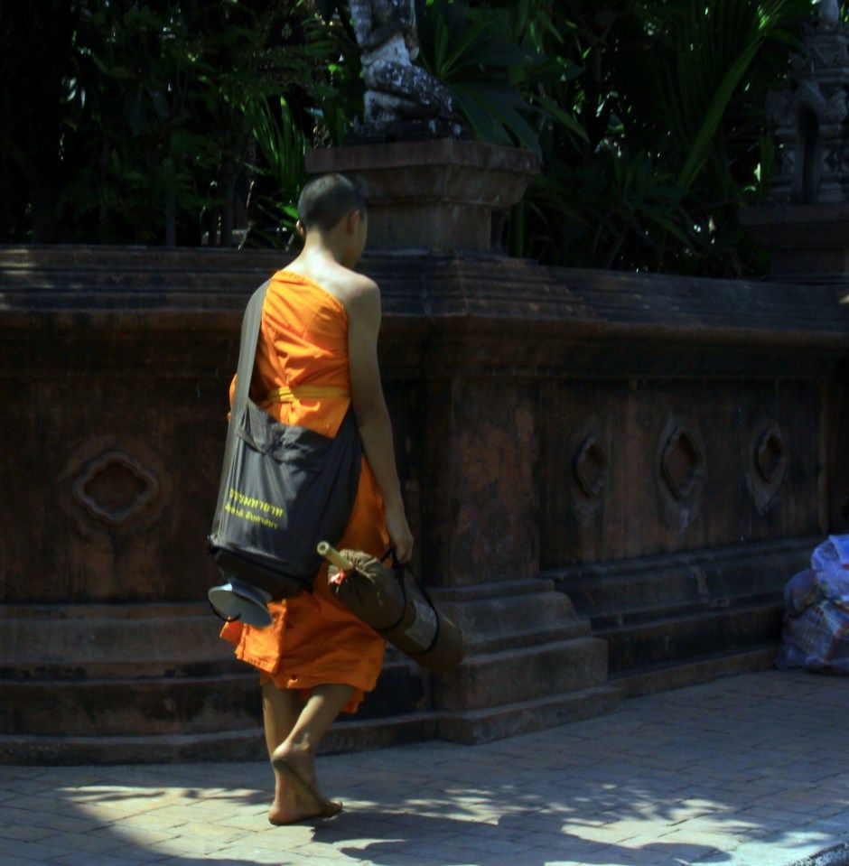Photo of Rose Of The North - Chiang Mai, Thailand 8/14 by Srotoswini Svetlana Baghawan